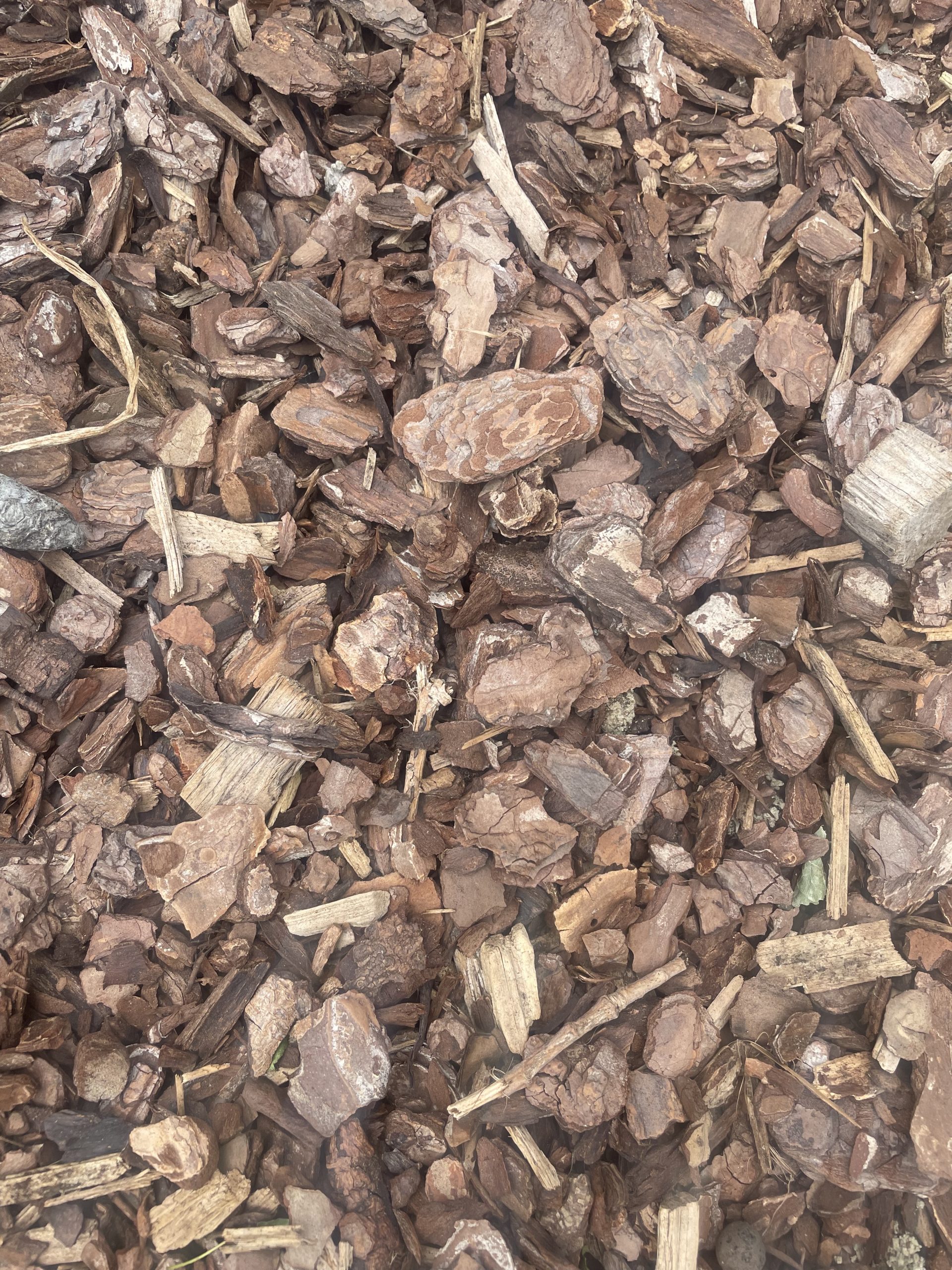 Can You Put Mulch Over Grass? Find out now